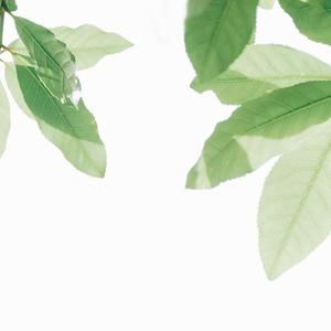 91九色精品国产一区二区无码
